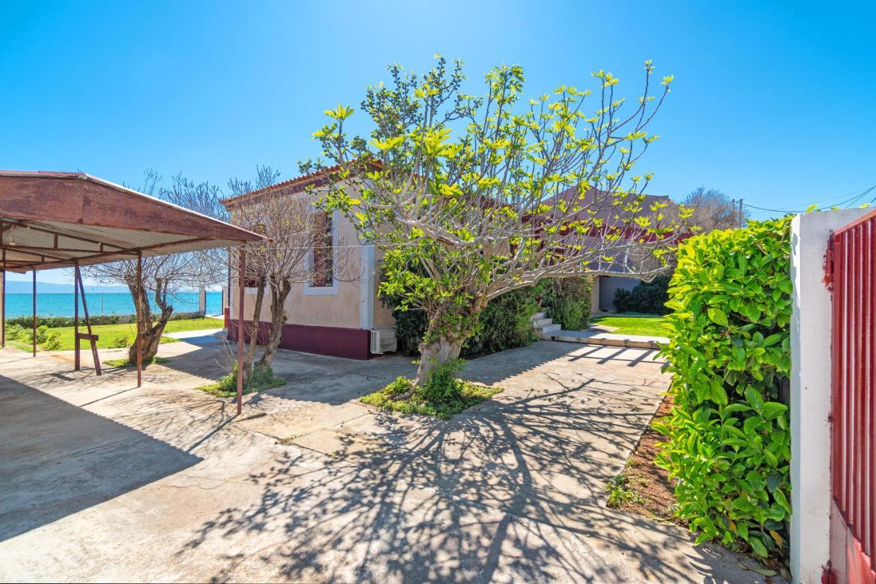 Villa Angelos Nerántza 外观 照片
